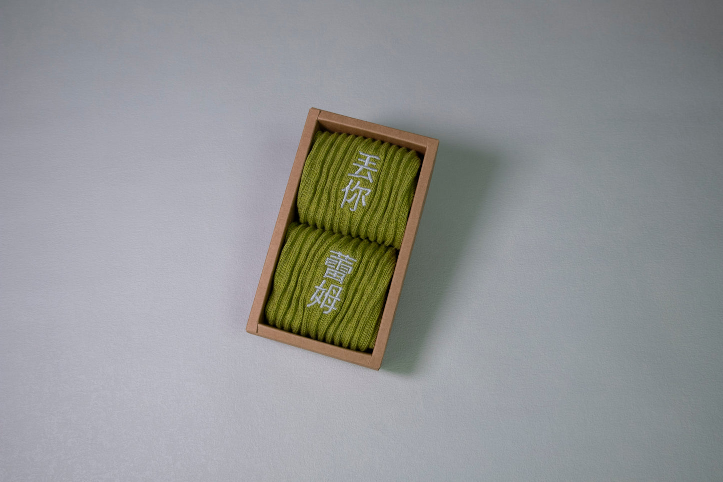 丟你蕾姆